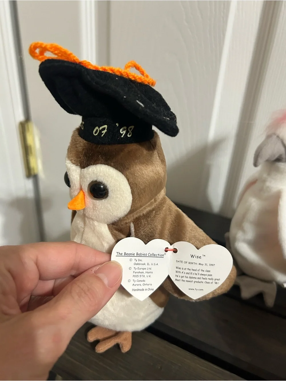 TY Beanie Babies NWT Bundle of 5 Wise, Early, KuKu, Jake, & Pinky